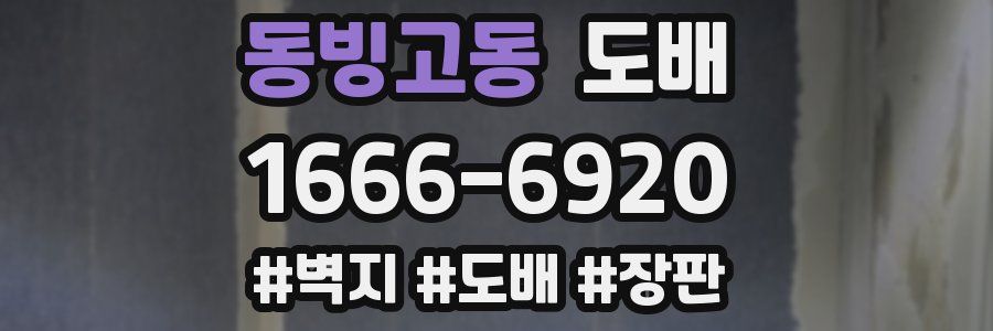 동빙고동 도배