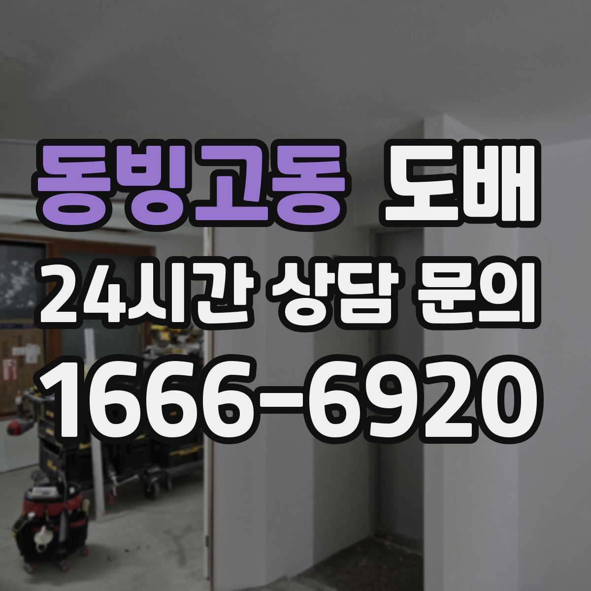 동빙고동 도배