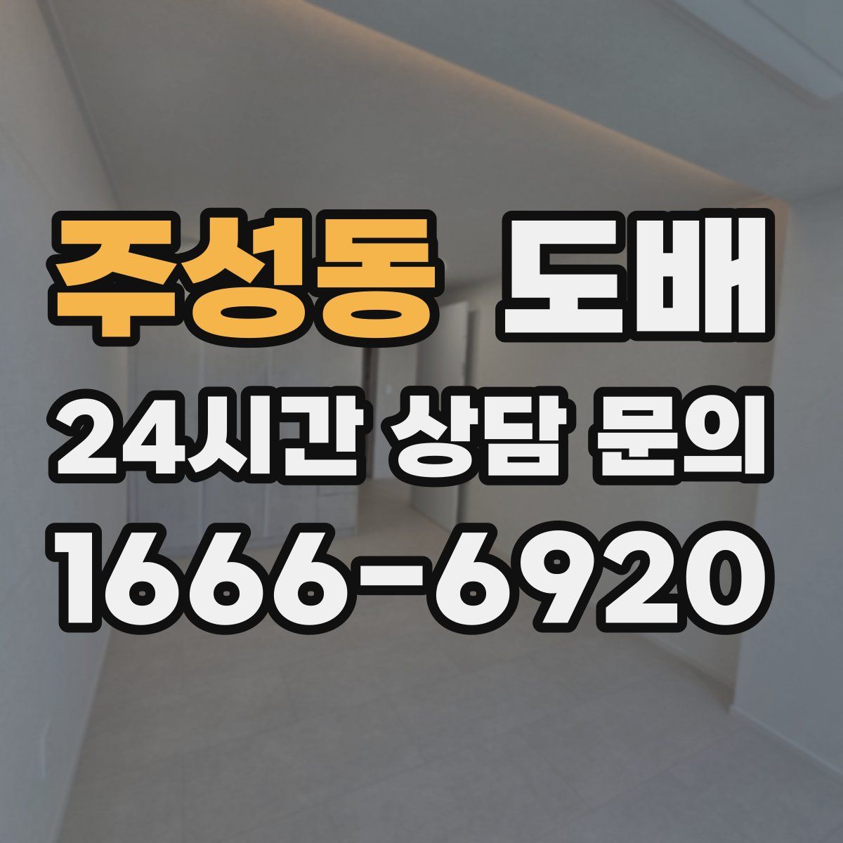 주성동 도배