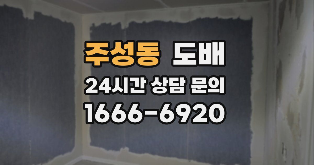 주성동 도배