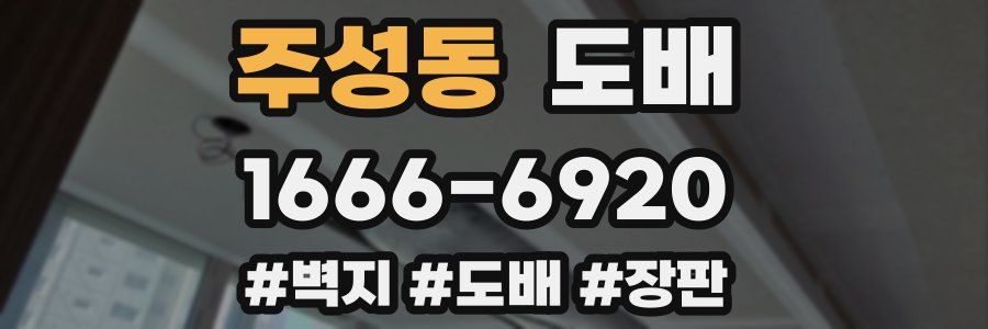 주성동 도배