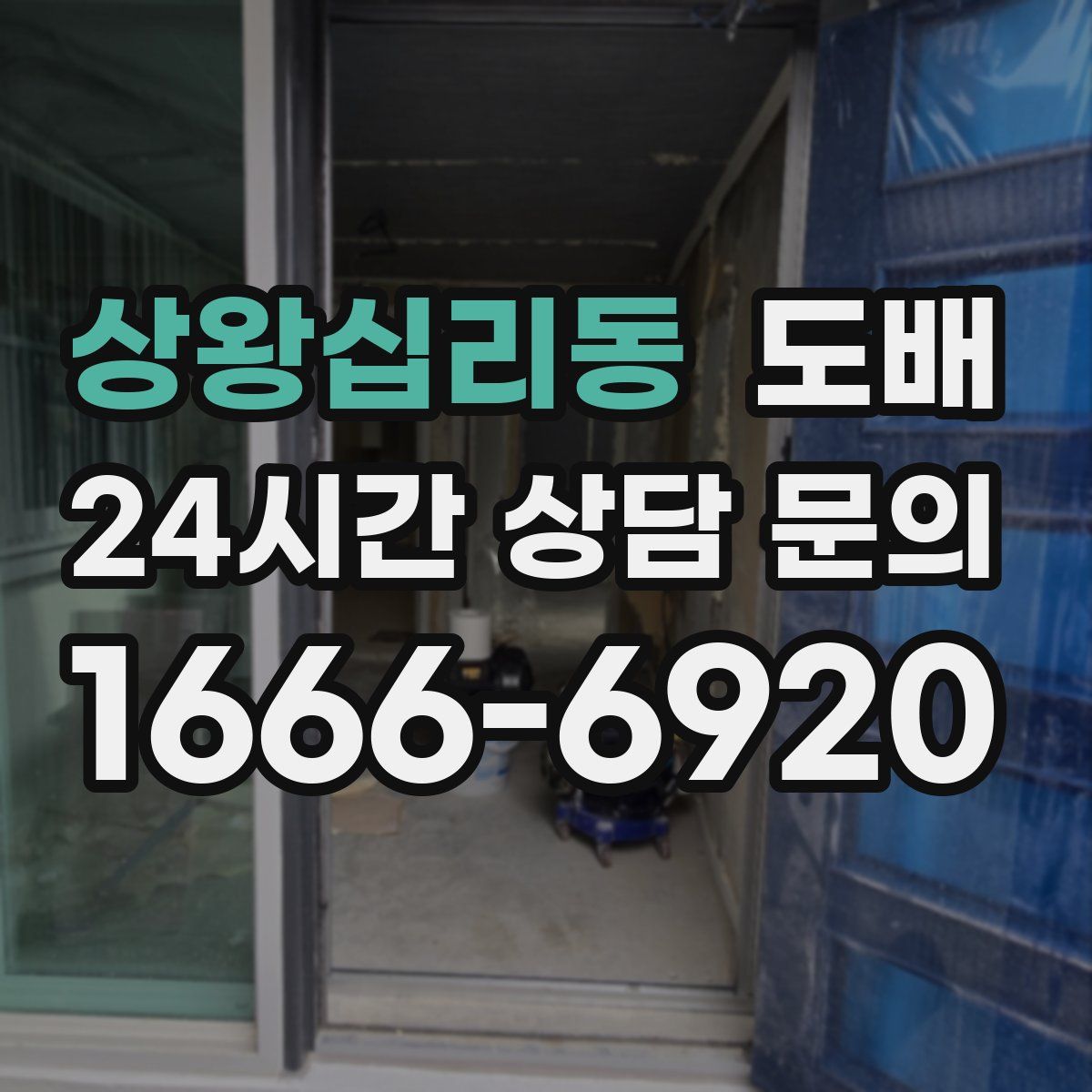 상왕십리동 도배