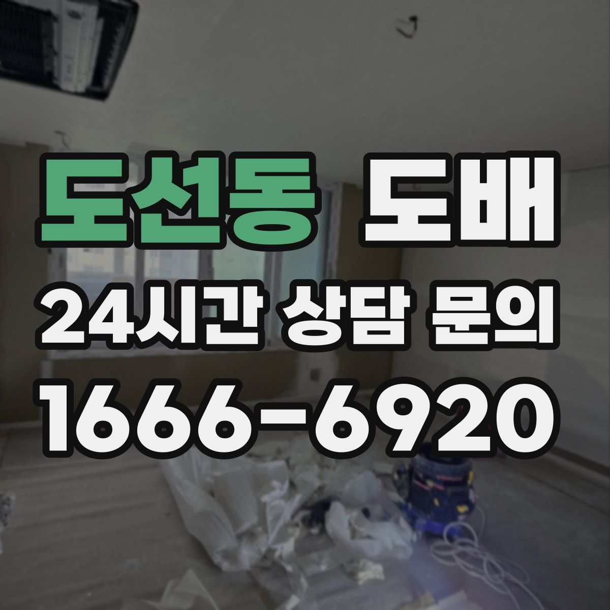 도선동 도배