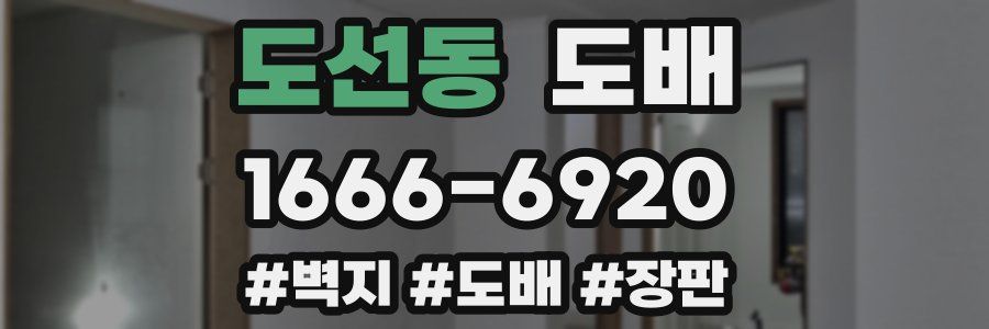 도선동 도배