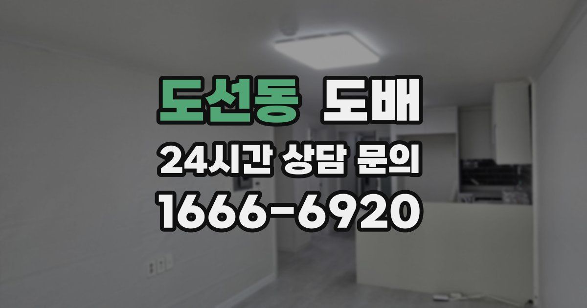 도선동 도배