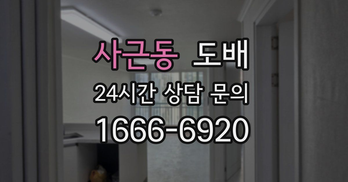 사근동 도배