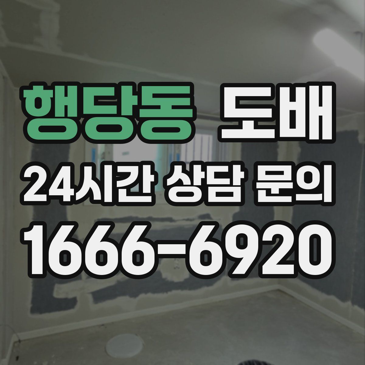 행당동 도배