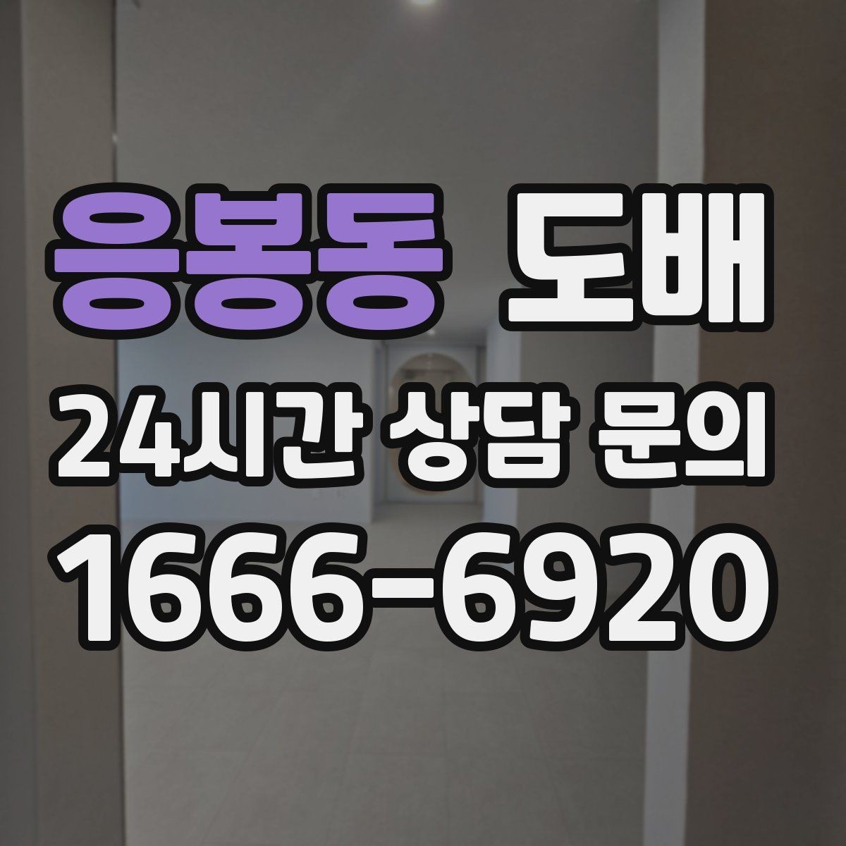 응봉동 도배 부분 보수와 전체 교체의 차이