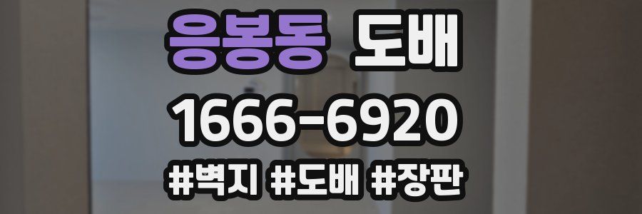 응봉동 도배