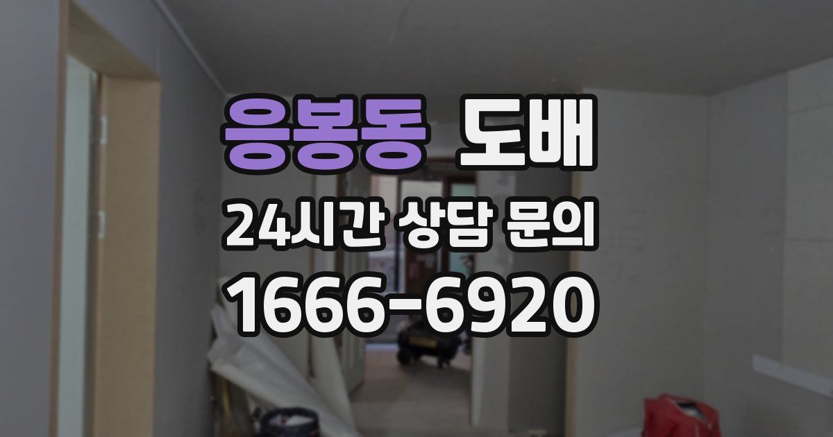 응봉동 도배