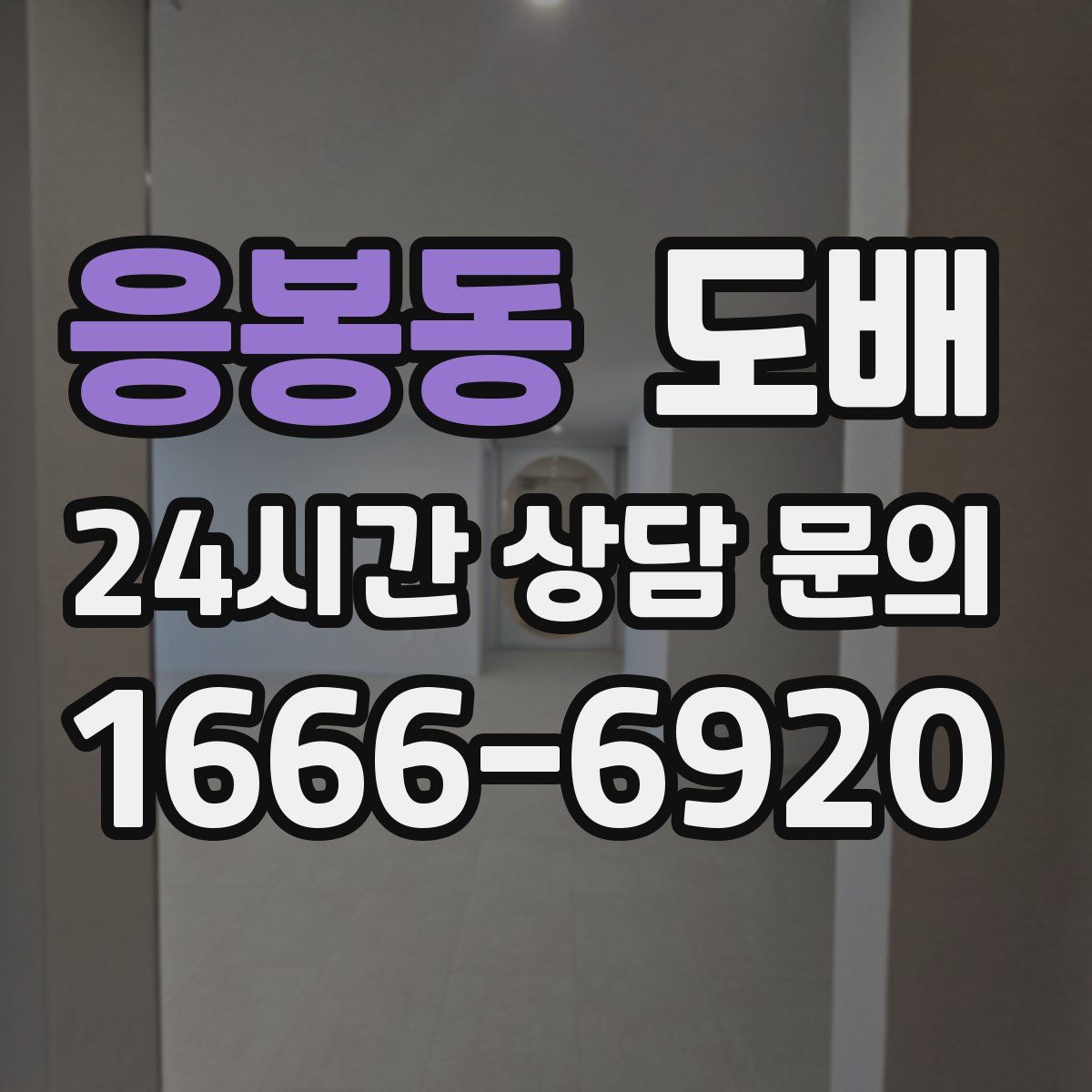 응봉동 도배