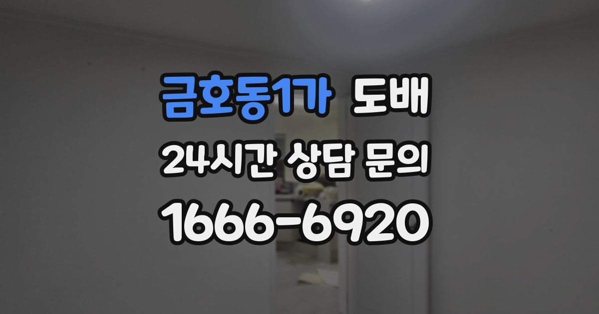 금호동1가 도배