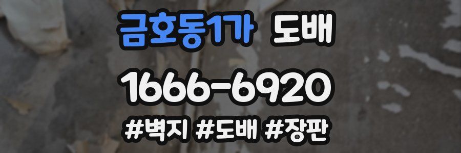 금호동1가 도배