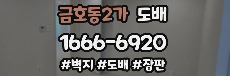 금호동2가 도배