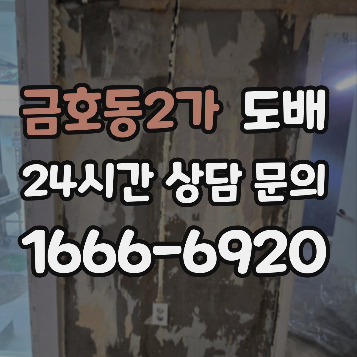 금호동2가 도배