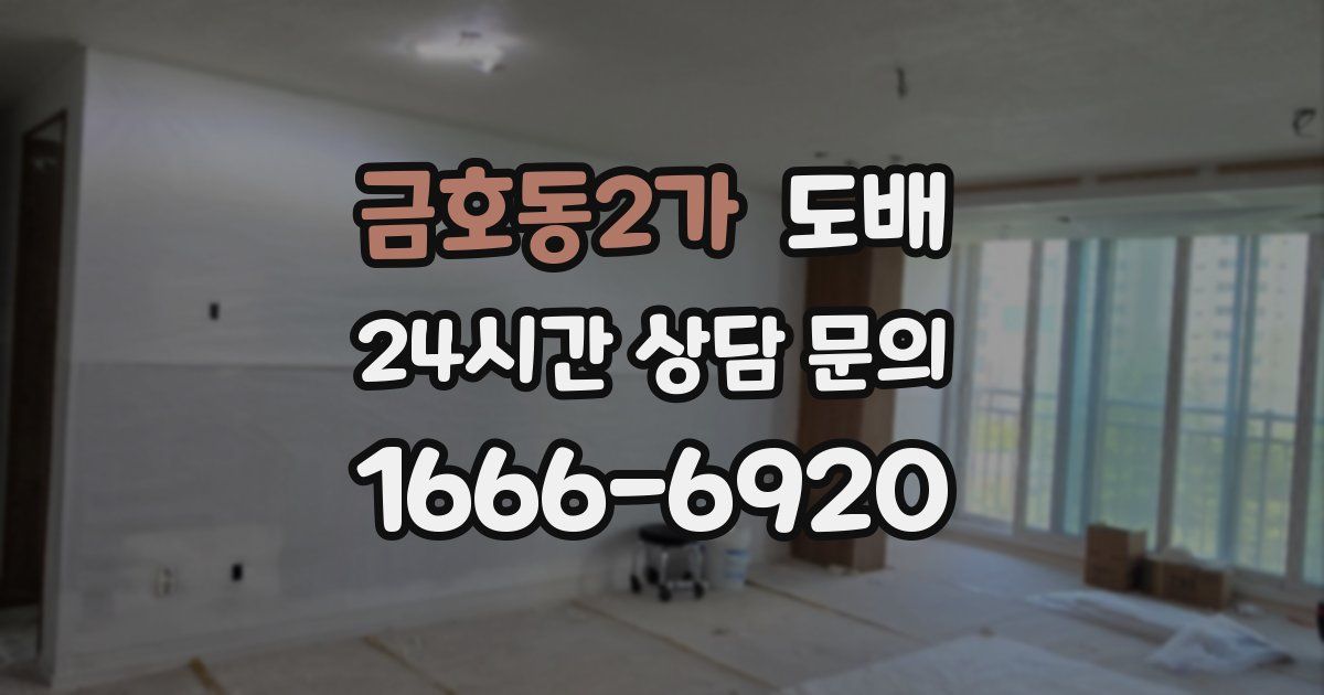 금호동2가 도배