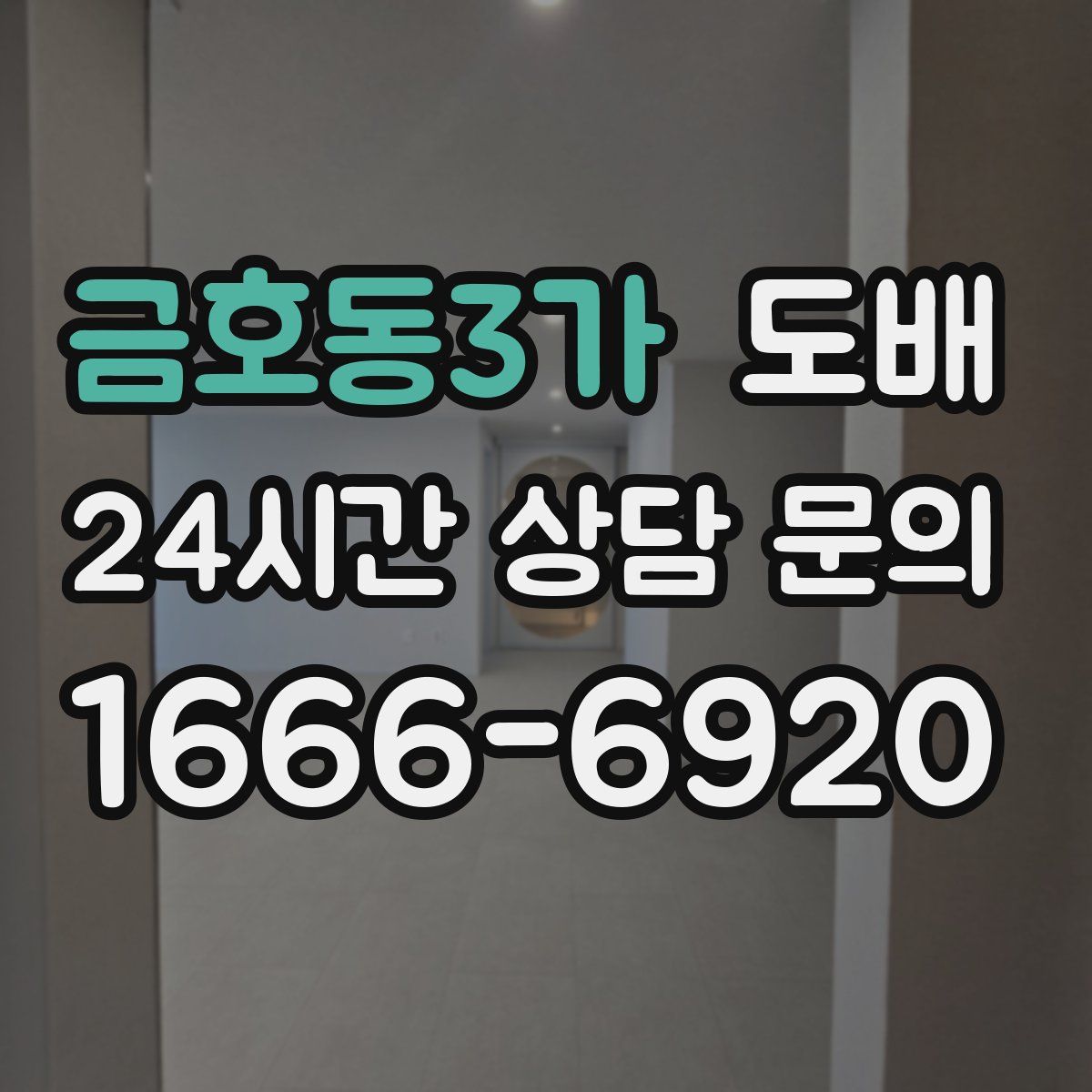 금호동3가 도배