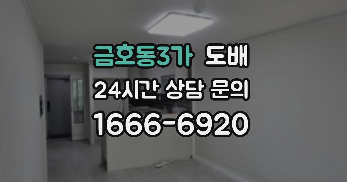 금호동3가 도배