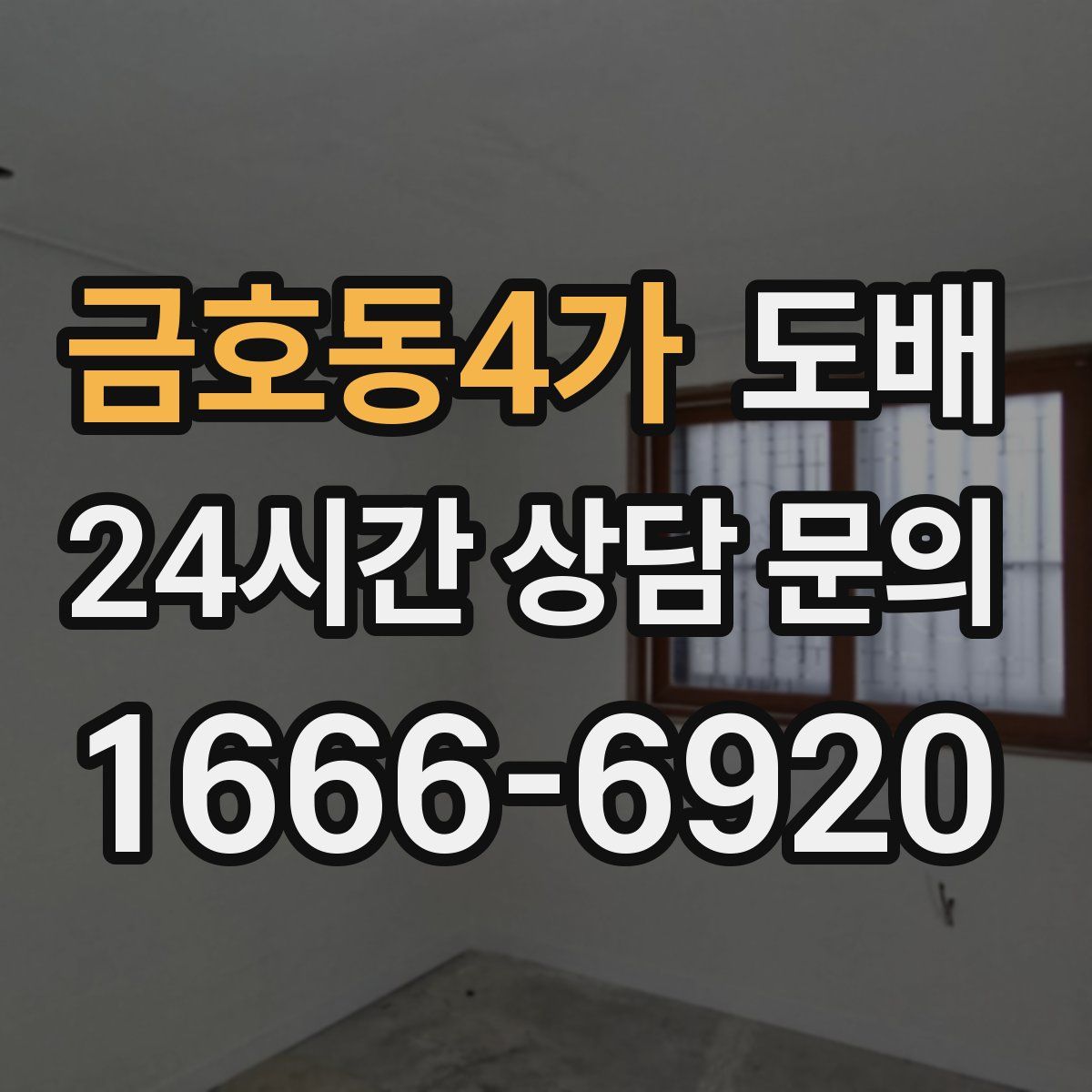 금호동4가 도배