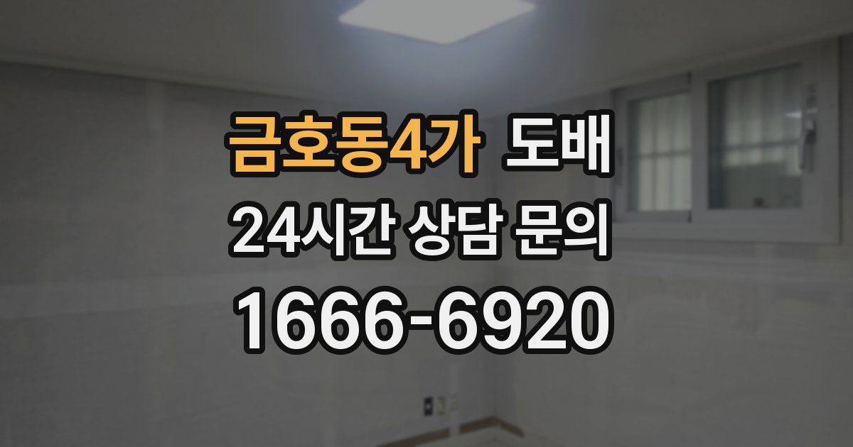 금호동4가 도배