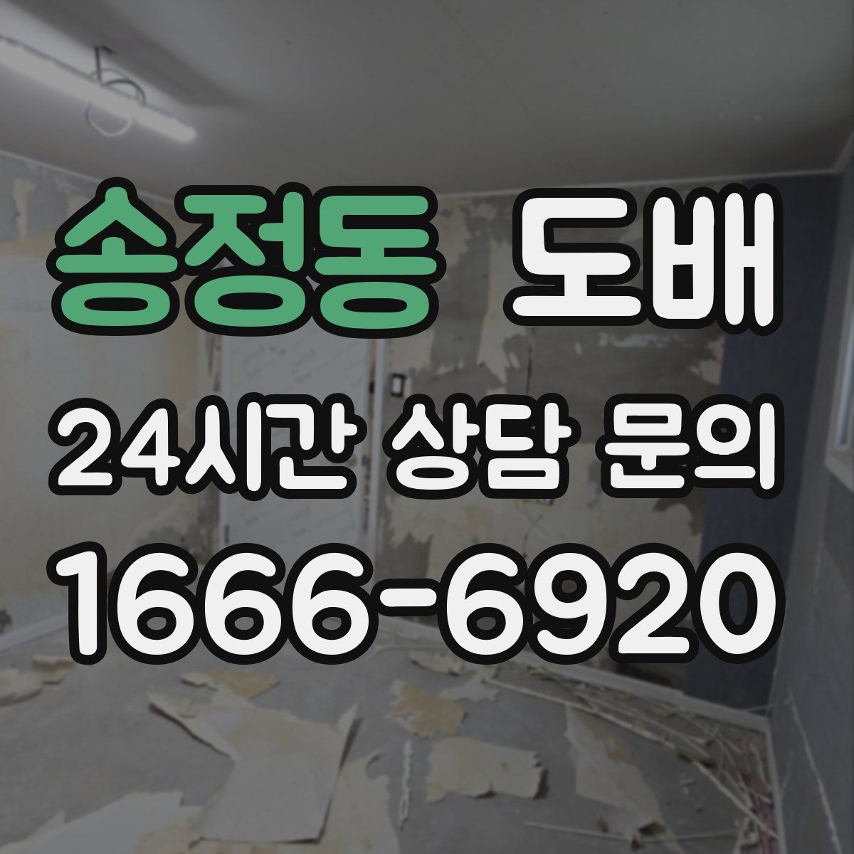 송정동 도배