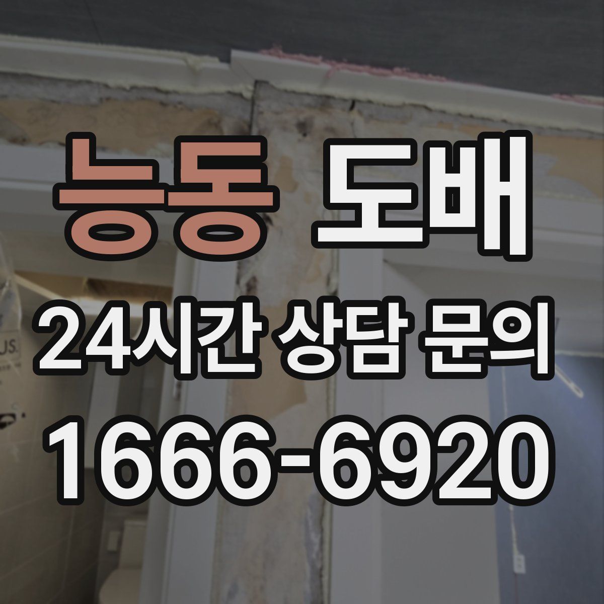 능동 도배