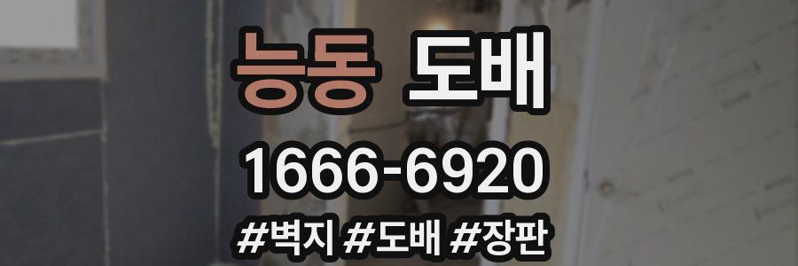 능동 도배