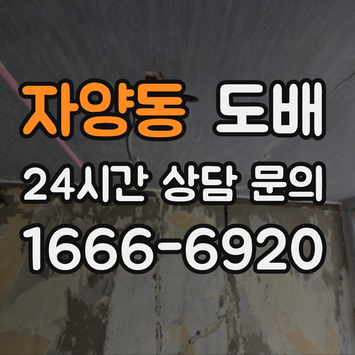 자양동 도배