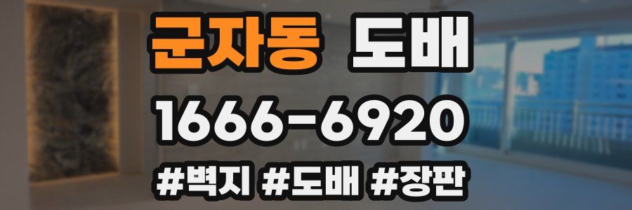 군자동 도배