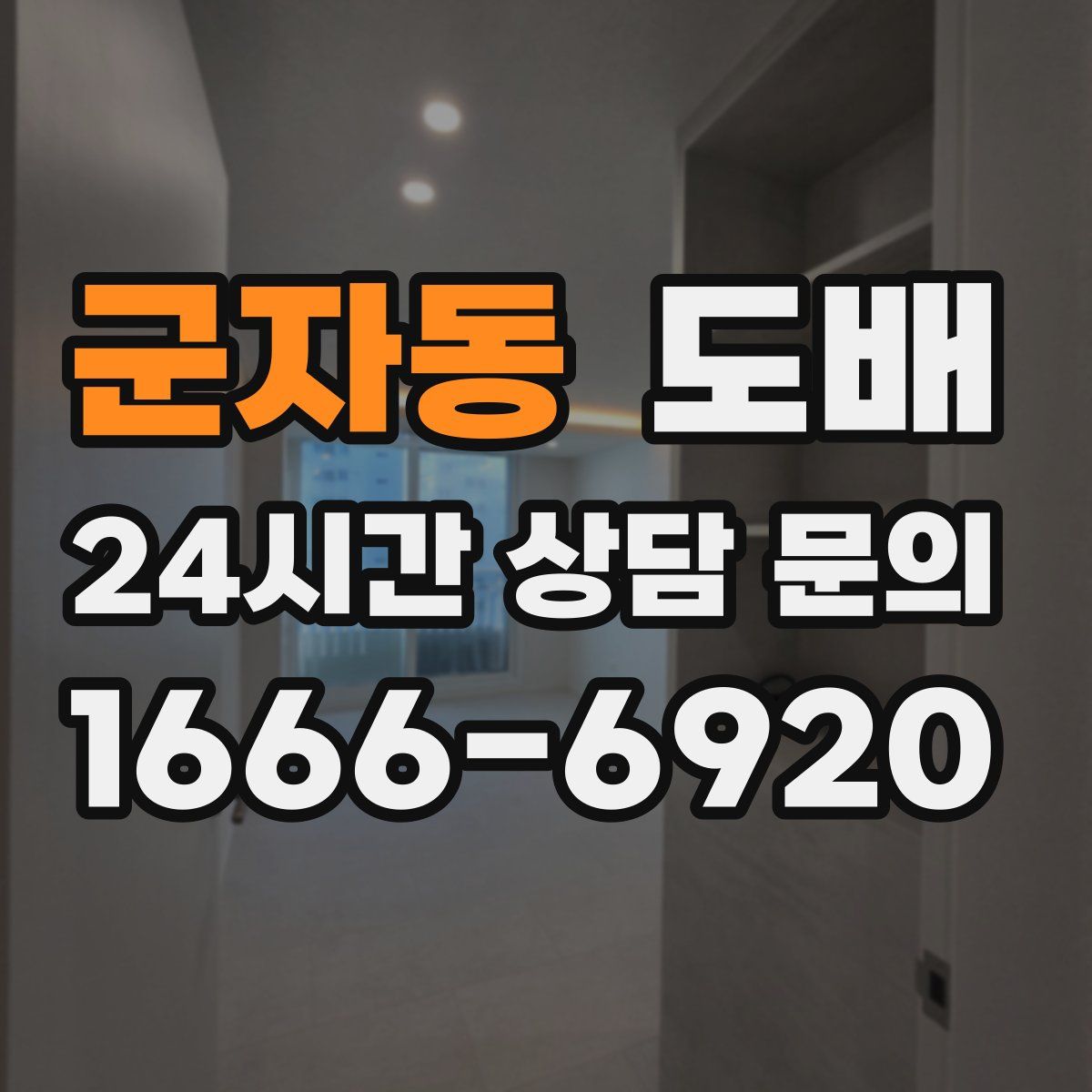 군자동 도배
