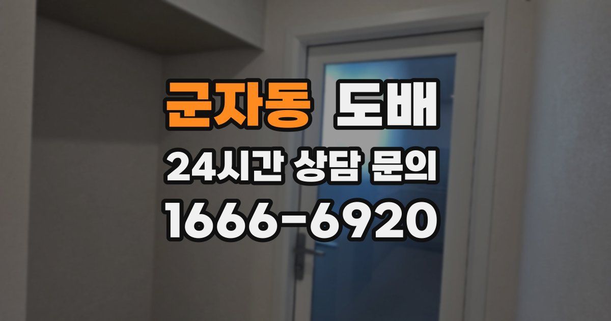 군자동 도배
