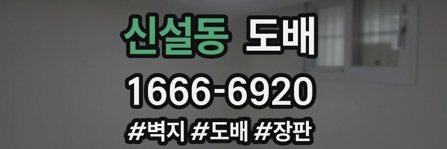 신설동 도배