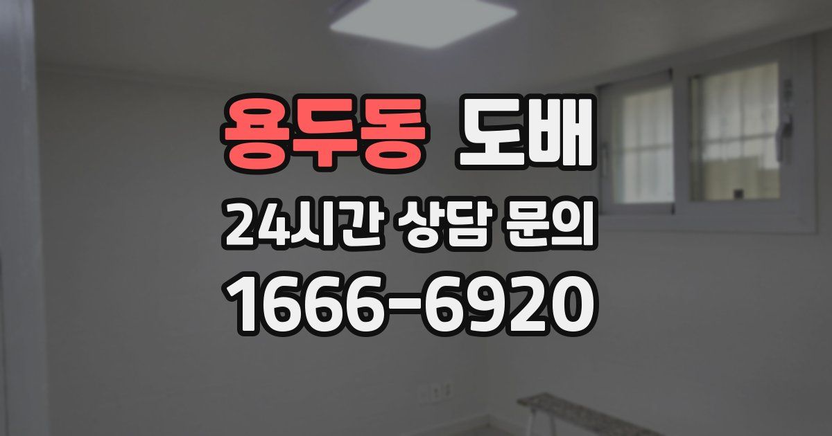 용두동 도배
