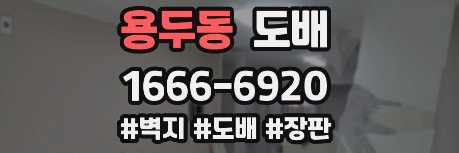 용두동 도배
