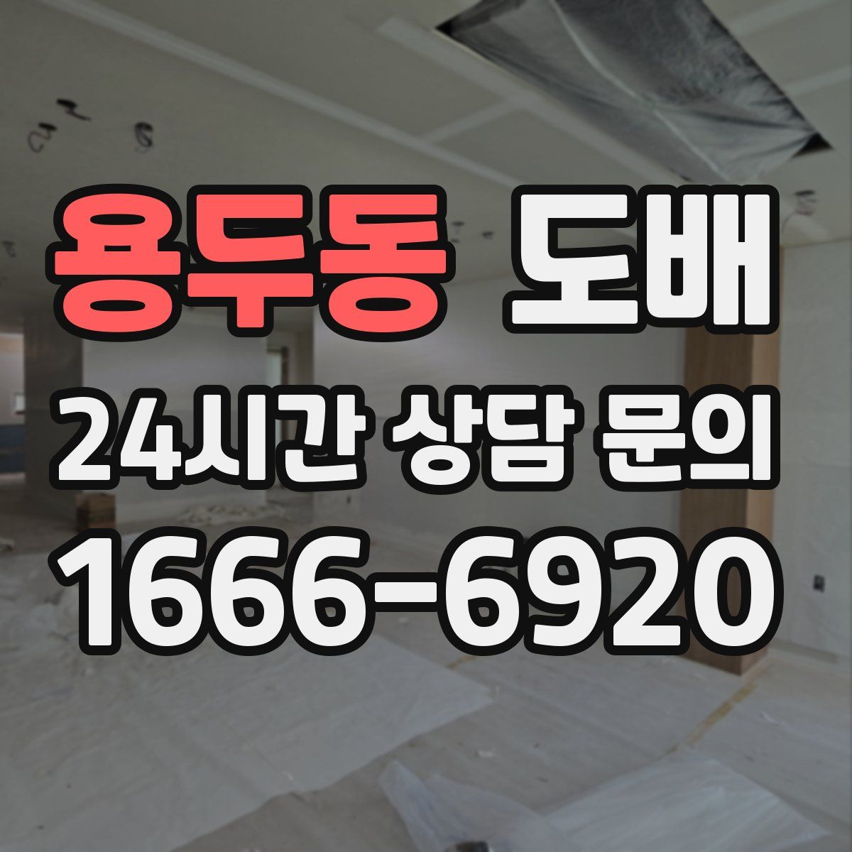 용두동 도배