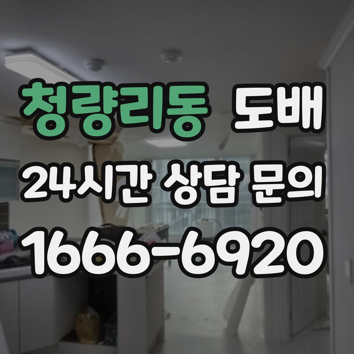 청량리동 도배