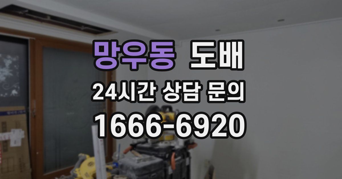 망우동 도배