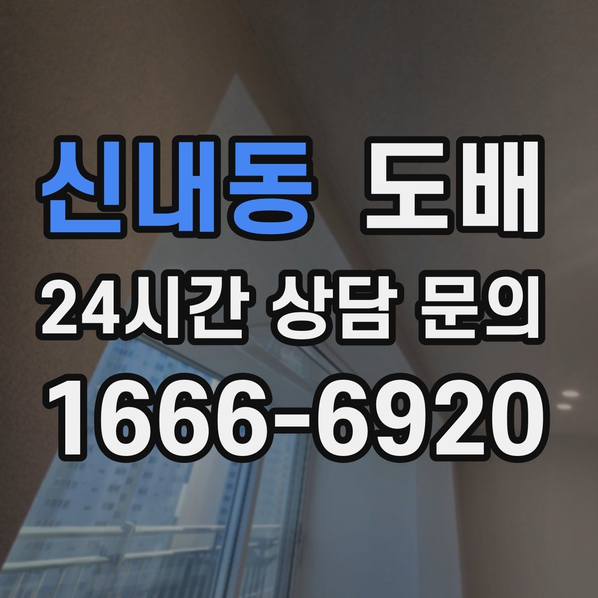 신내동 도배