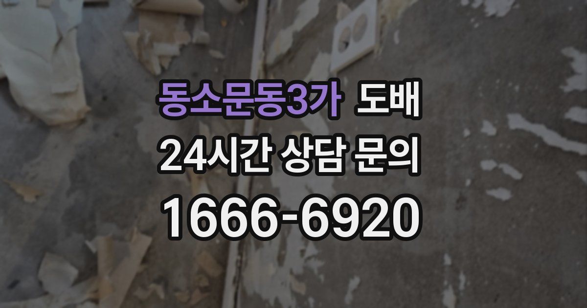 동소문동3가 도배