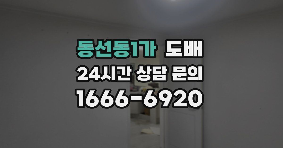동선동1가 도배