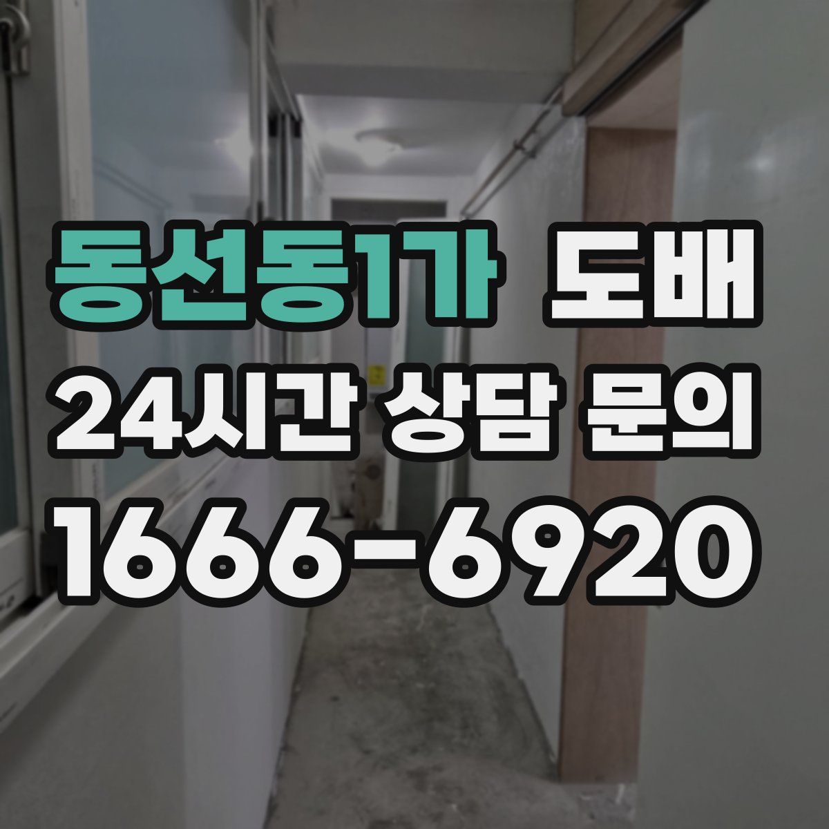 동선동1가 도배