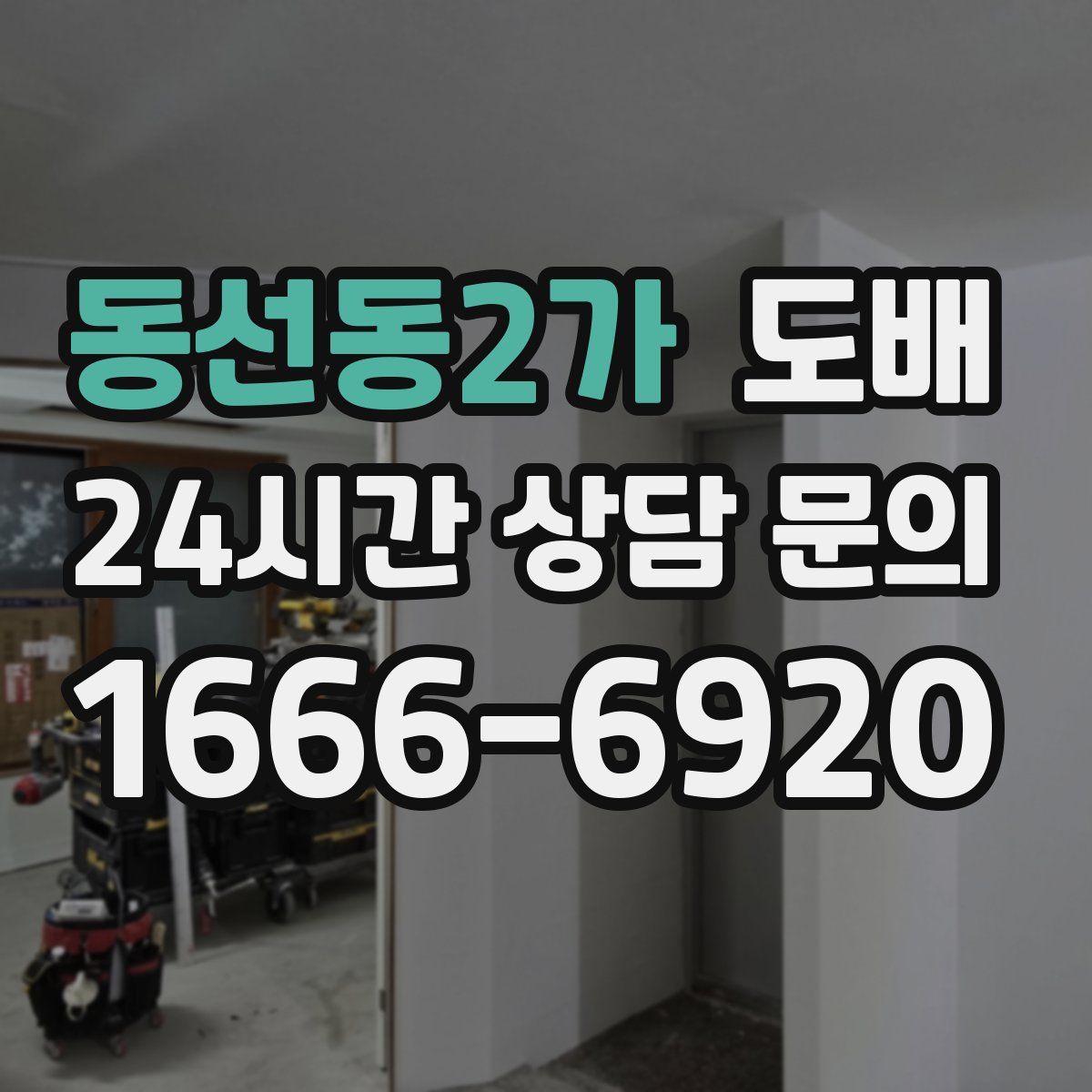 동선동2가 도배
