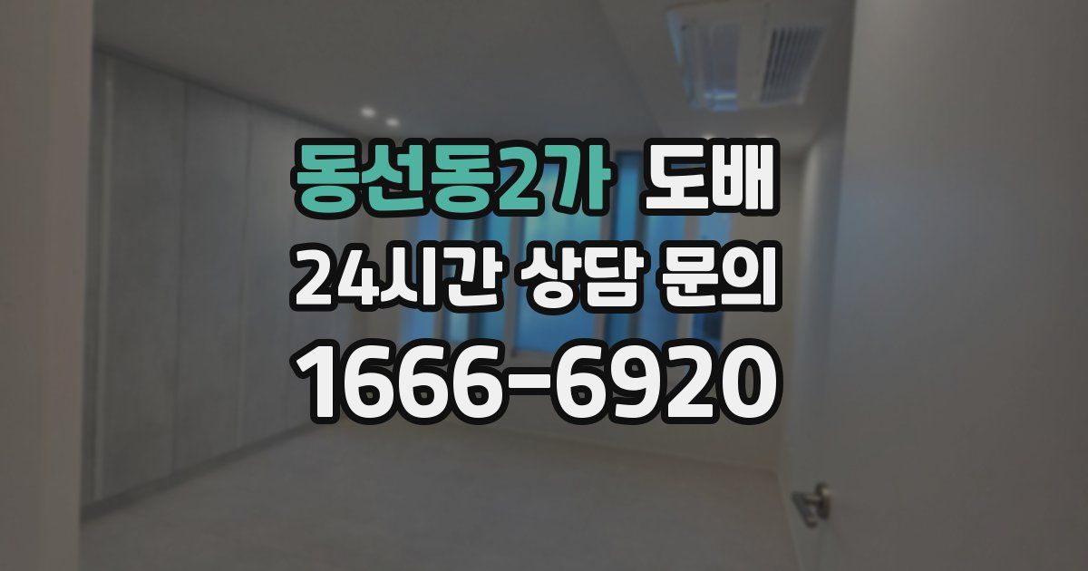 동선동2가 도배