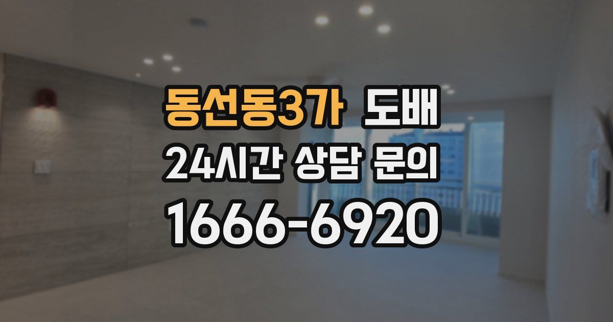 동선동3가 도배