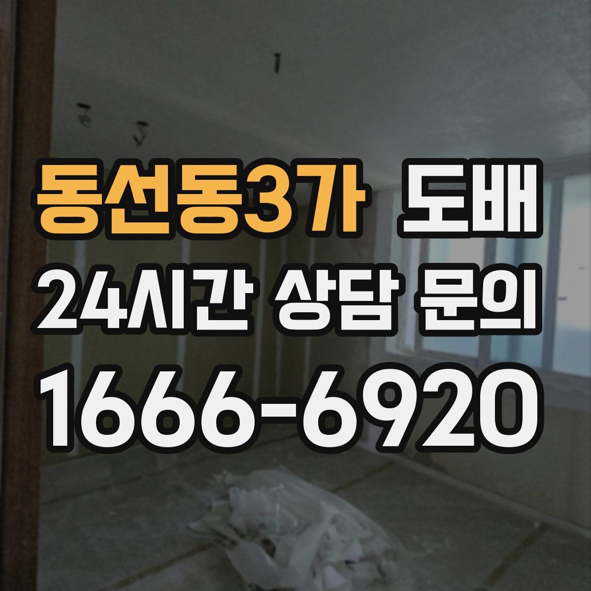 동선동3가 도배