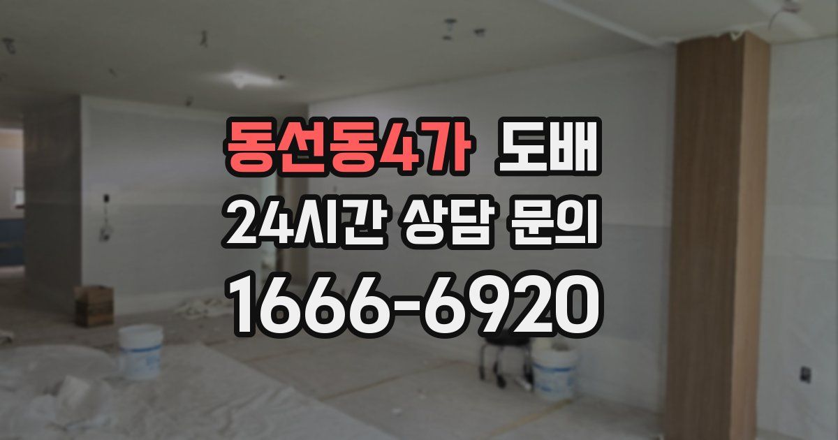동선동4가 도배