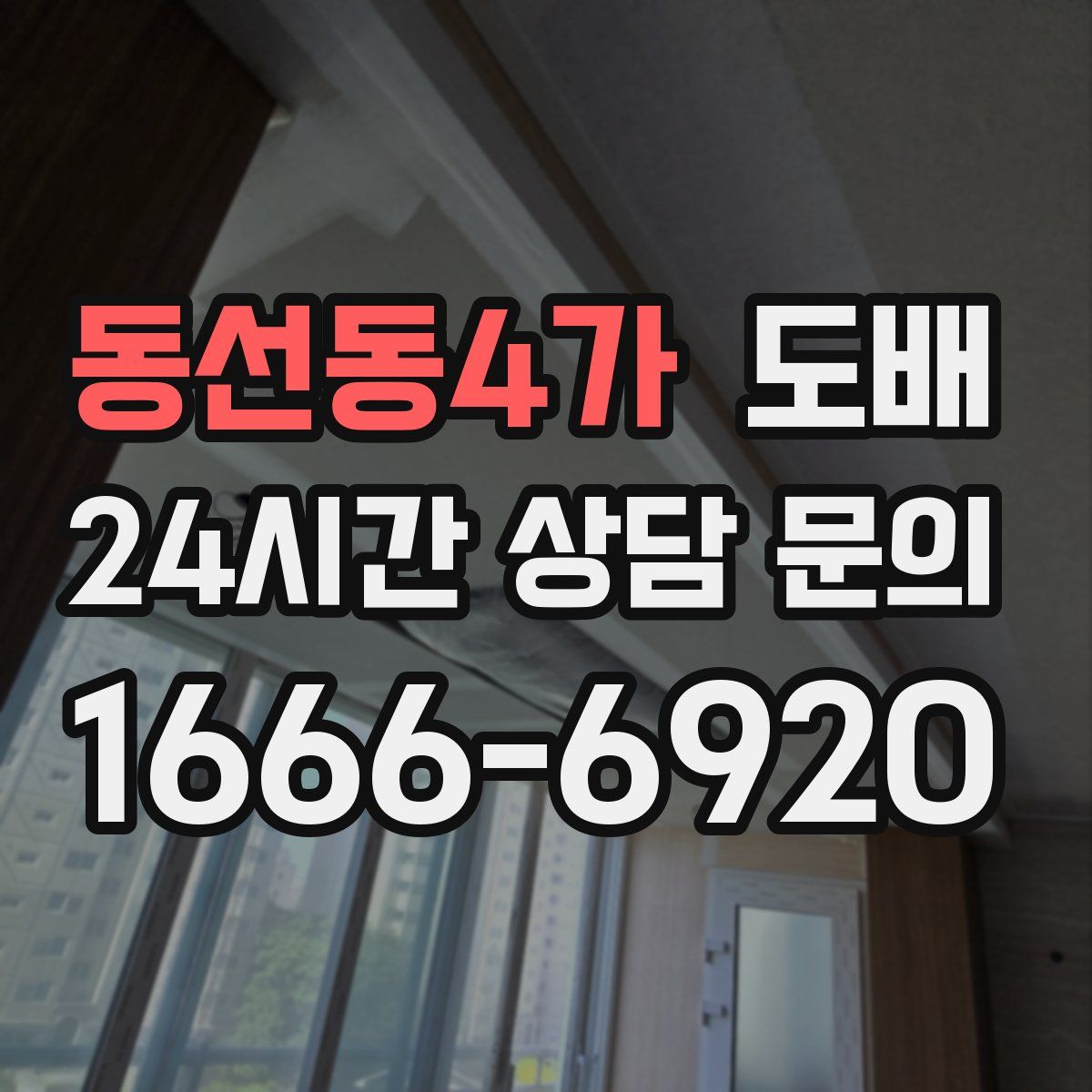 동선동4가 도배