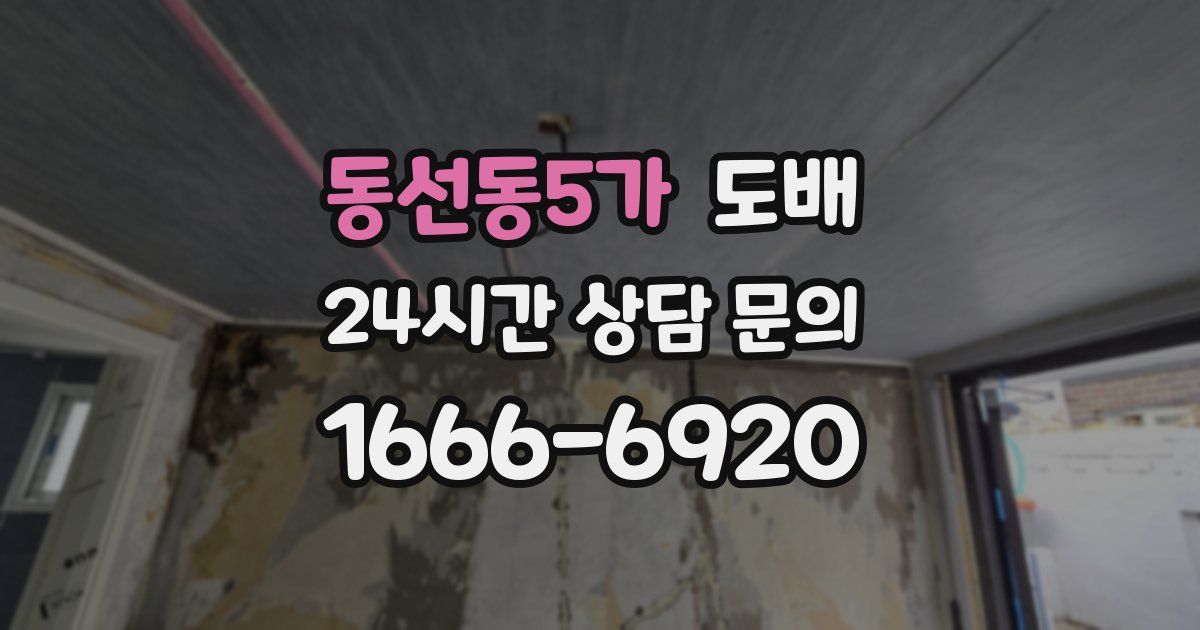 동선동5가 도배