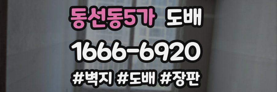 동선동5가 도배