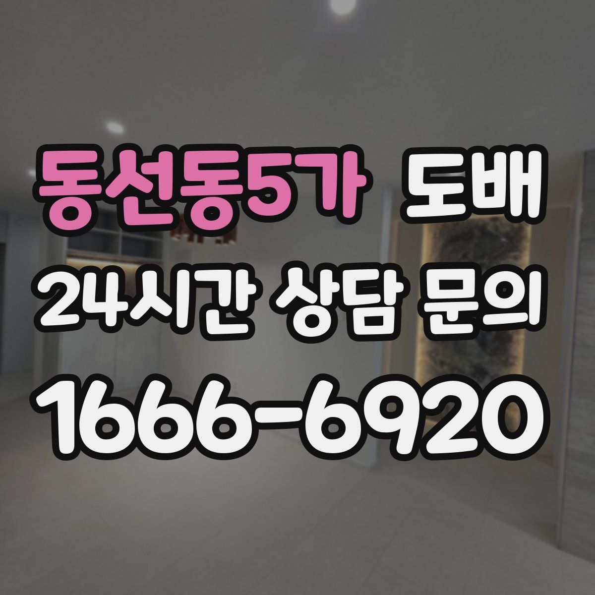 동선동5가 도배